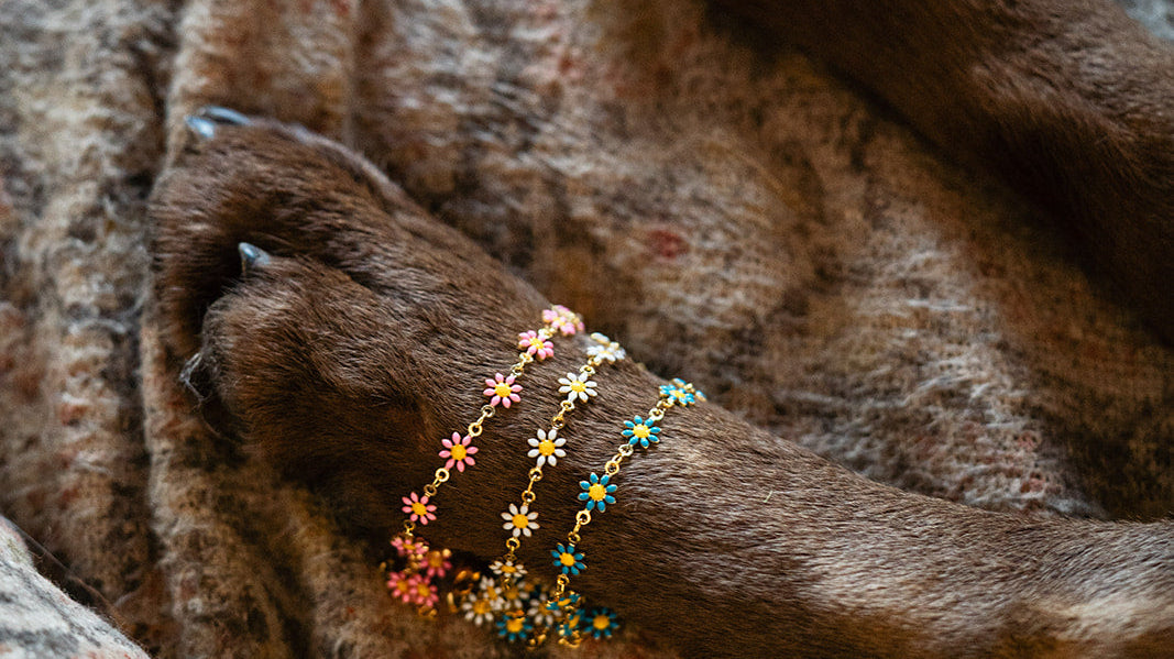 Bella Vita Studio Notes April 6 - 12