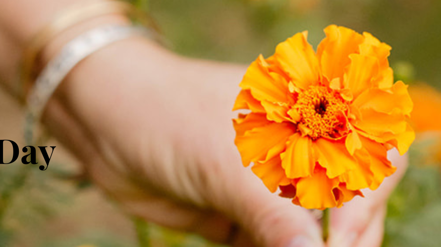 Celebrating Our Planet: A Reflection on Earth Day and Sustainable Choices