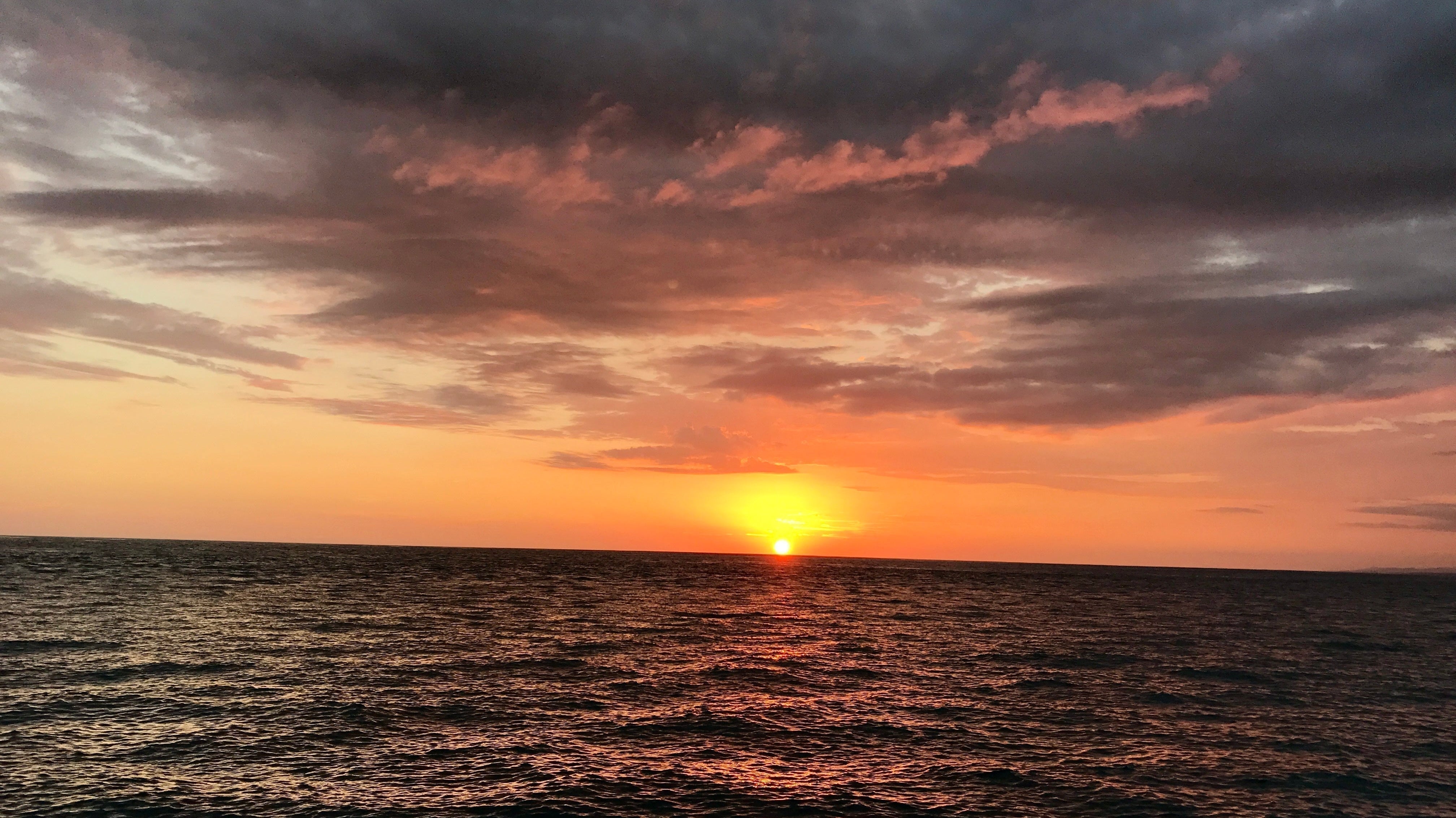 Solo in Costa Rica: My Adventure as a Wedding Guest in Manuel Antonio