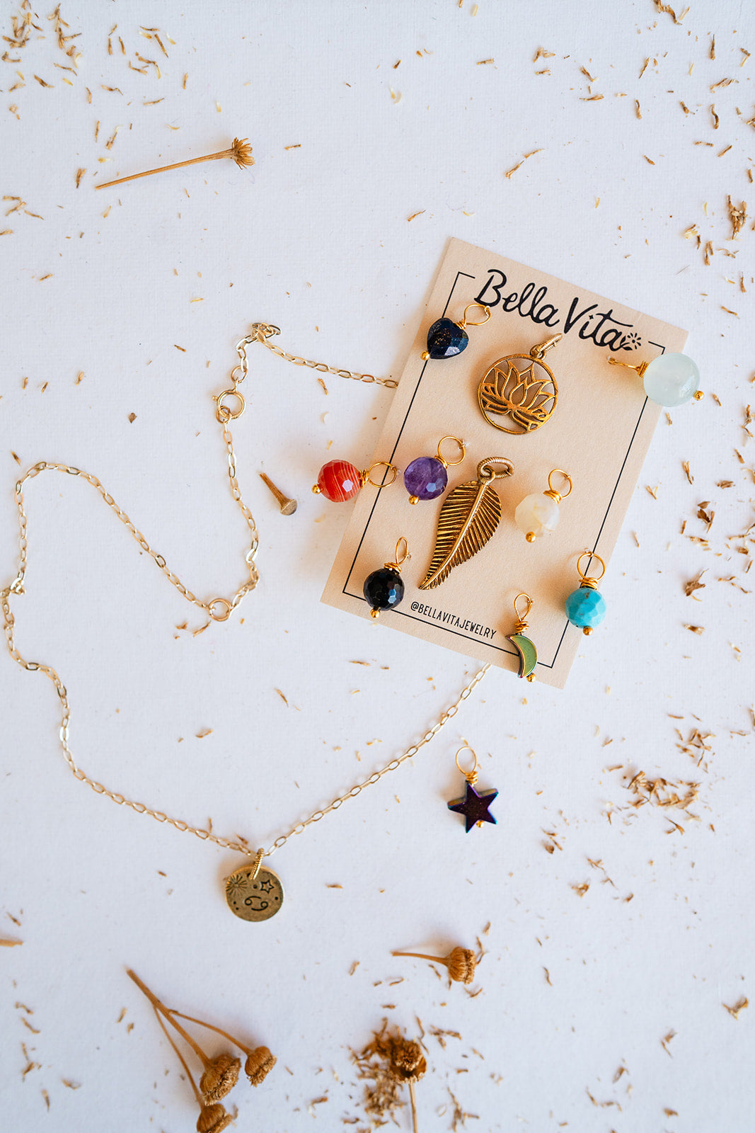 Interchangeable CHarm Necklace Bella Vita Jewelry