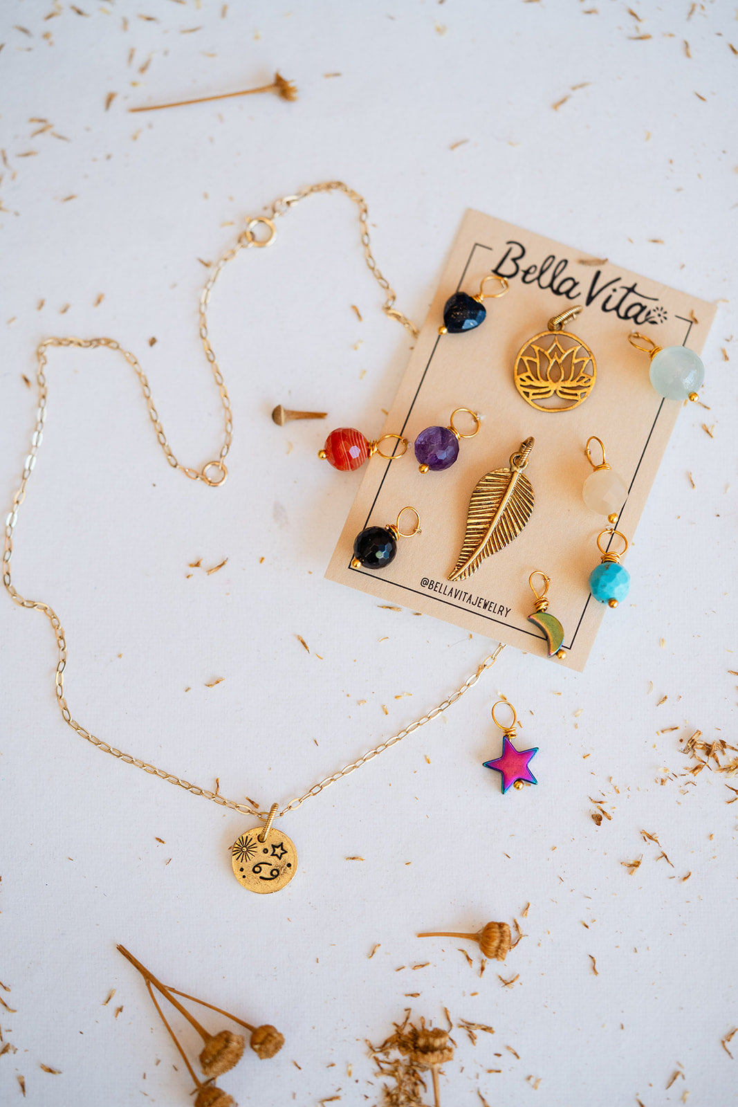 Interchangeable CHarm Necklace Bella Vita Jewelry