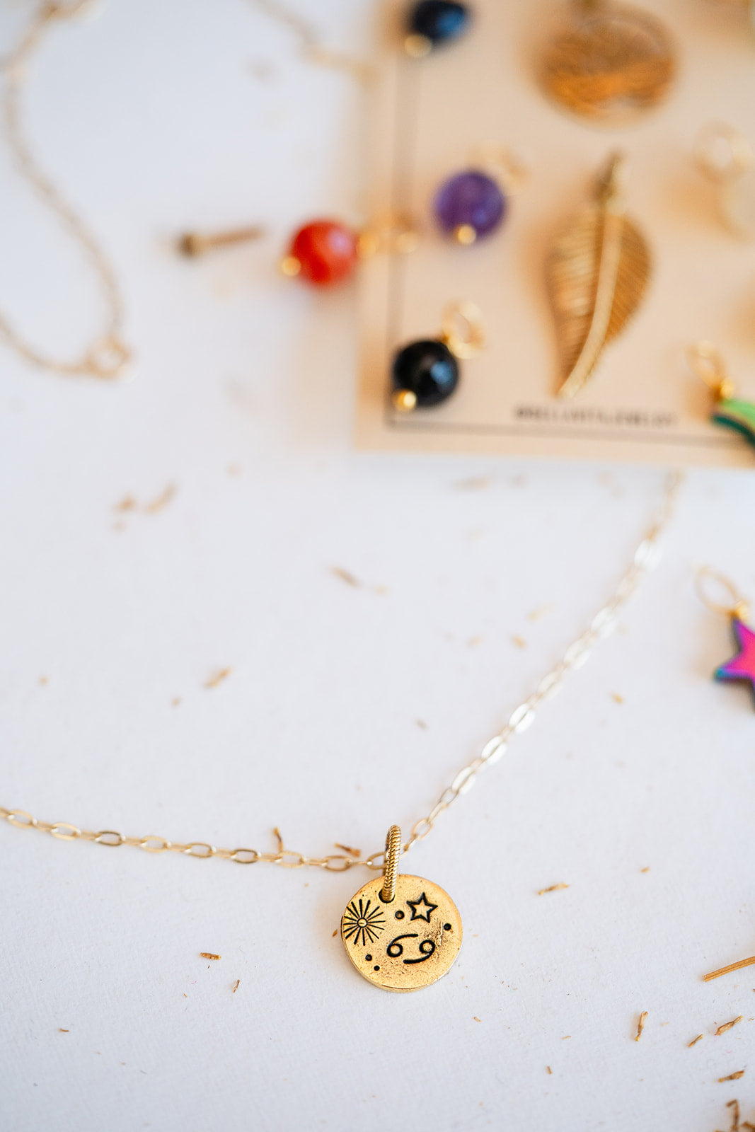 Interchangeable CHarm Necklace Bella Vita Jewelry