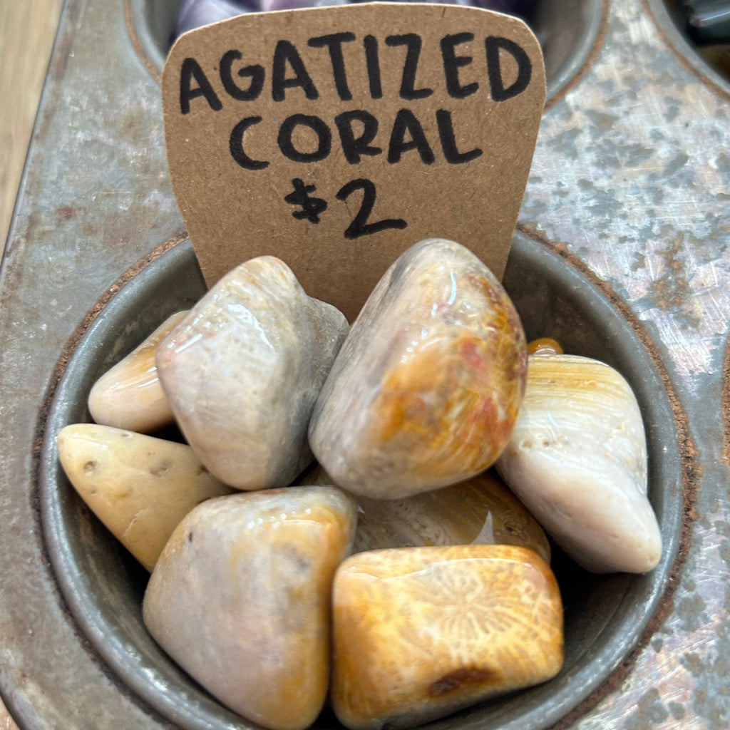 Agatized Coral Crystals Bella Vita Imports   