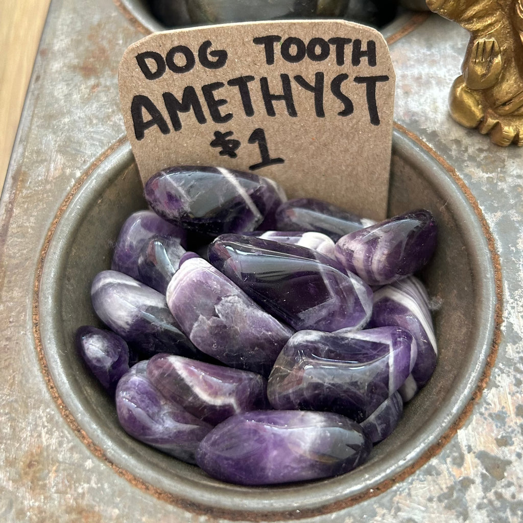 Dog Tooth Amethyst Crystals Bella Vita Imports   