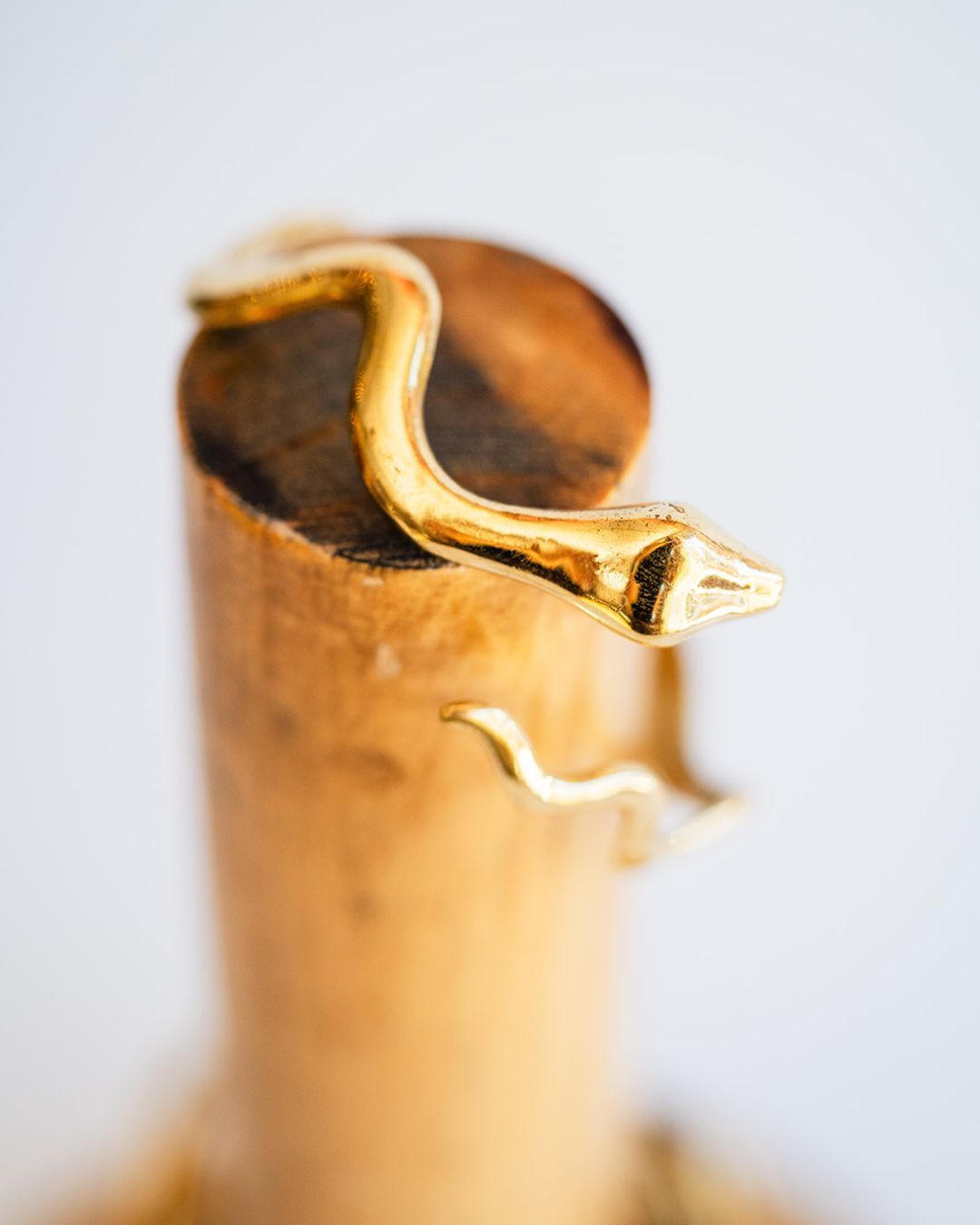 Close-up of shiny brass serpent head with detailed features