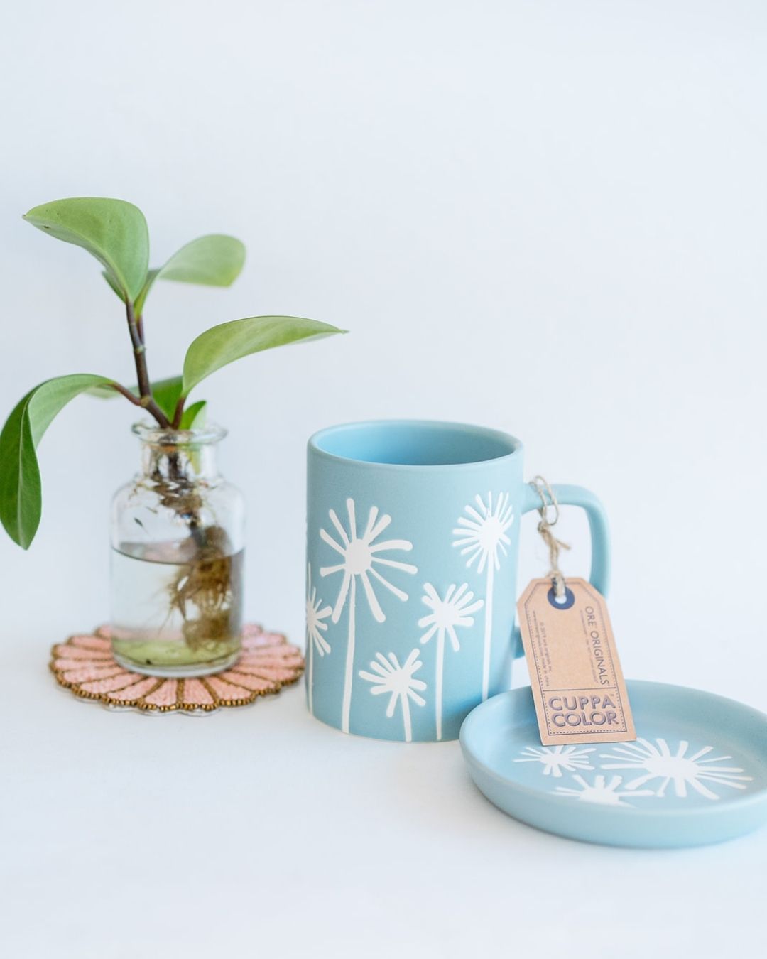 Light blue mug featuring dandelion design with matching coaster and plant