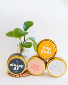 GP Candle Co. 4oz tin collection with Classy AF, Hot Mom, Stay Weird, and Yay You designs with plant