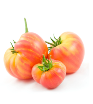 Hillbilly Tomato Garden + Gift Seed Packet Sow the Magic