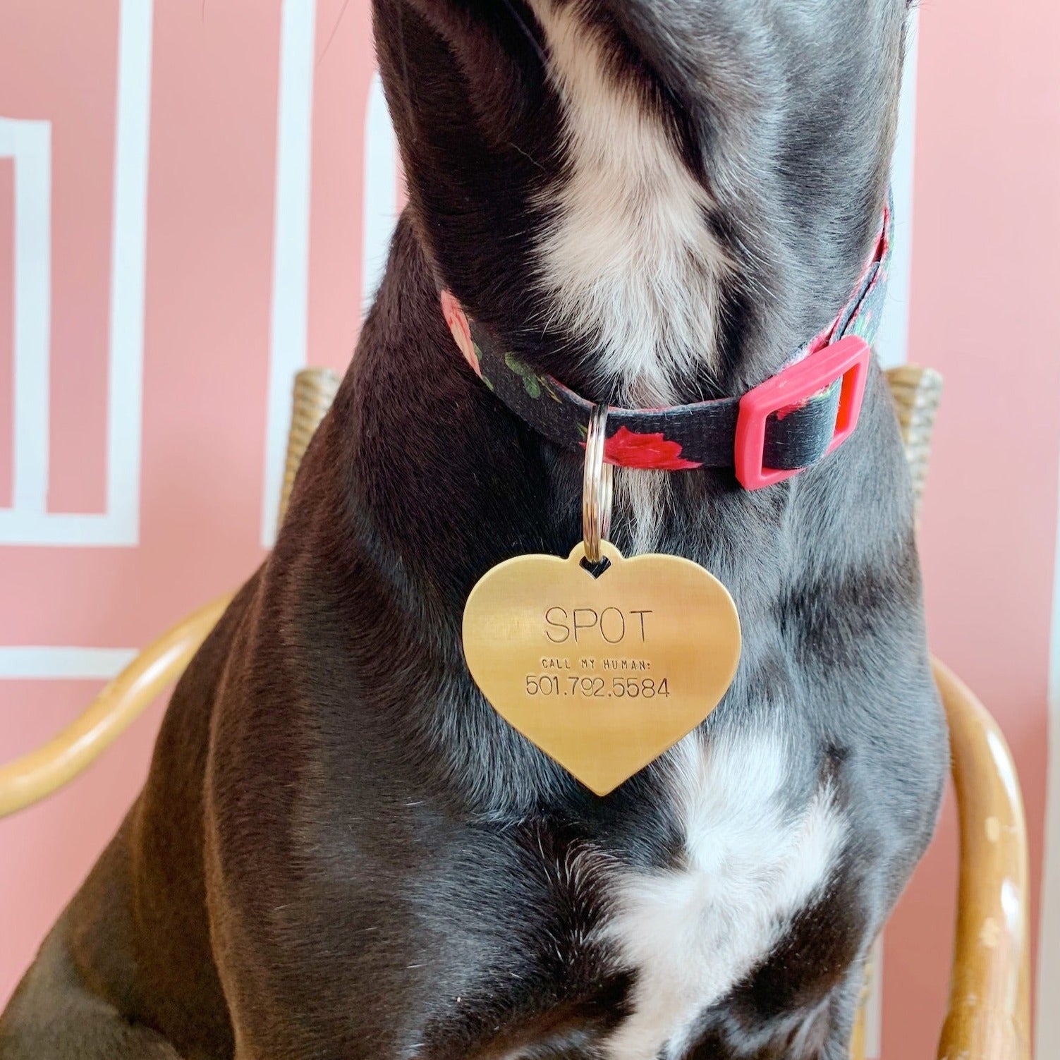 Pet ID Tag Key Chains Bella Vita Jewelry