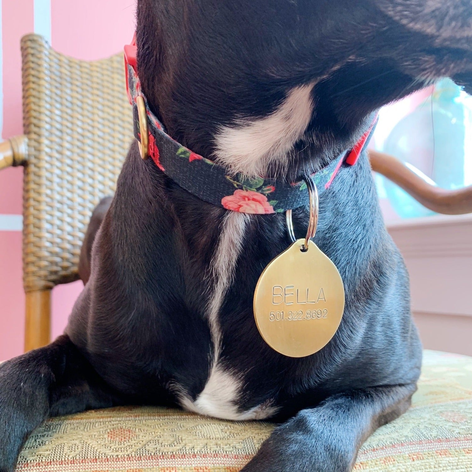 Pet ID Tag Key Chains Bella Vita Jewelry