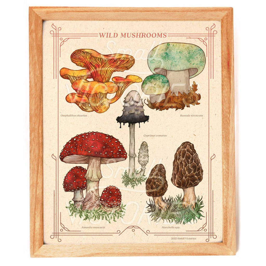 Wild Mushrooms Print  Small Victories   