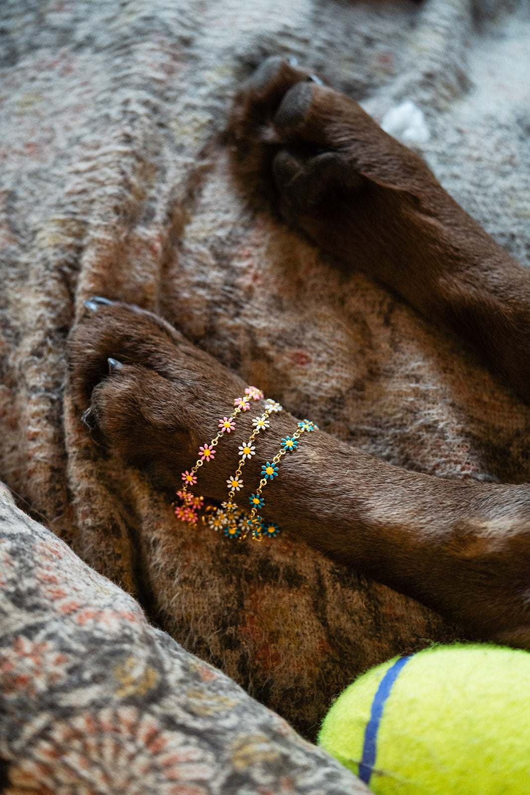 Bella Vita Studio Notes April 6 - 12