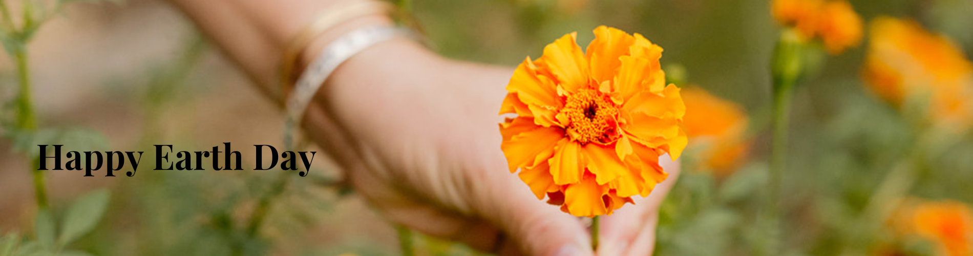 Celebrating Our Planet: A Reflection on Earth Day and Sustainable Choices