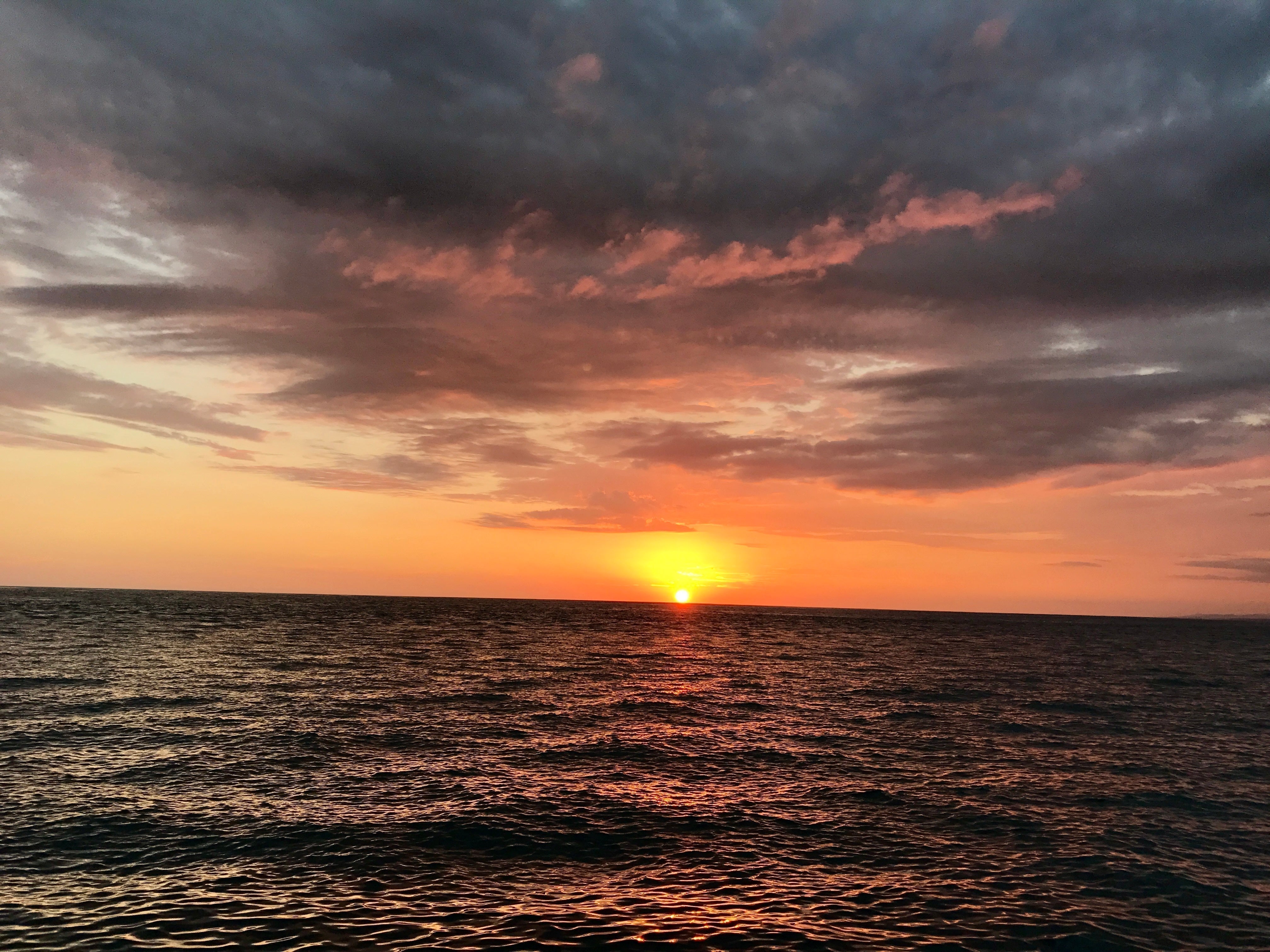 Solo in Costa Rica: My Adventure as a Wedding Guest in Manuel Antonio