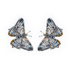 Hand Embroidered Earrings Brooches + Pins Trovelore