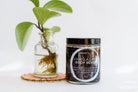 Body Scrub by Kind Folke Kind Folke