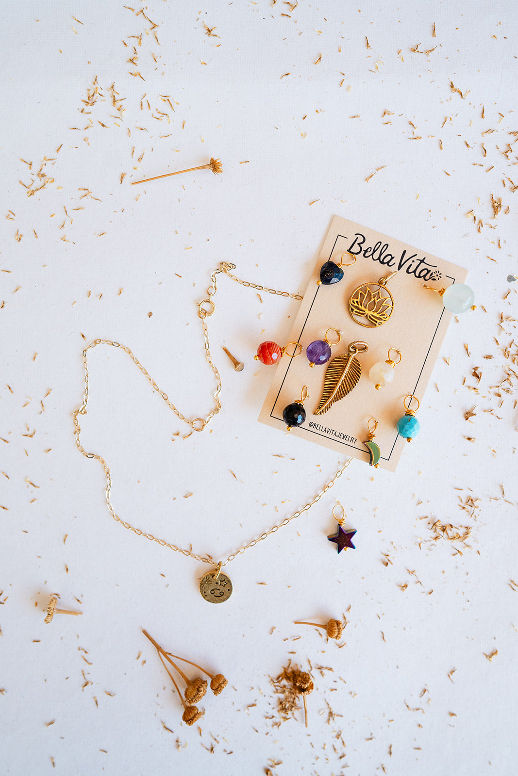 Interchangeable CHarm Necklace Bella Vita Jewelry