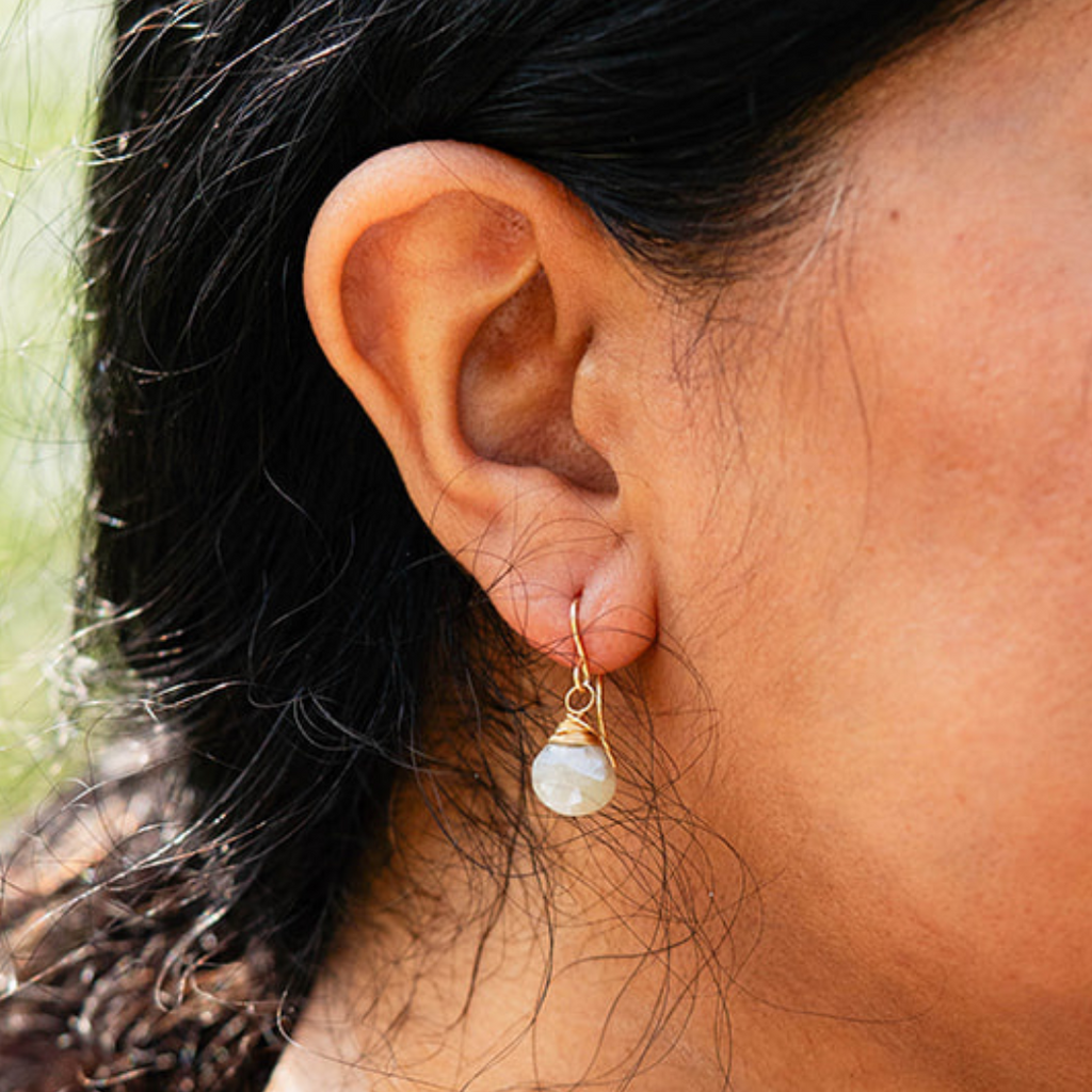Fossil Coral Earrings Dangle Earrings Bella Vita Jewelry   
