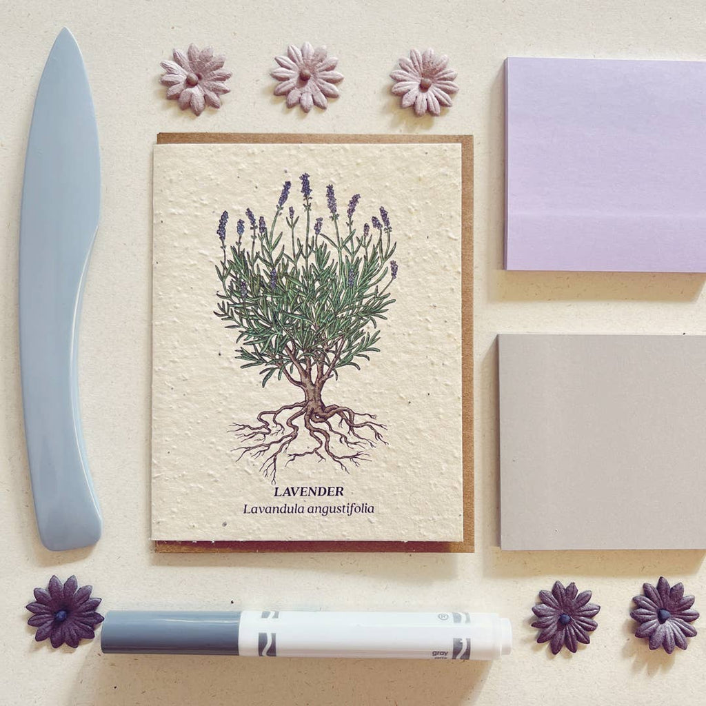 Lavender Plantable Wildflower Seed Card  Small Victories   