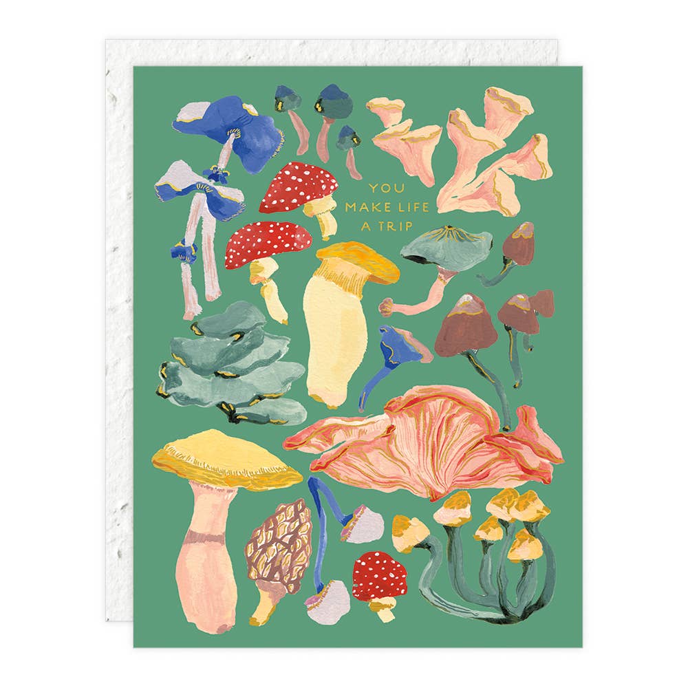 Shrooms - Love + Friendship Card  Seedlings   