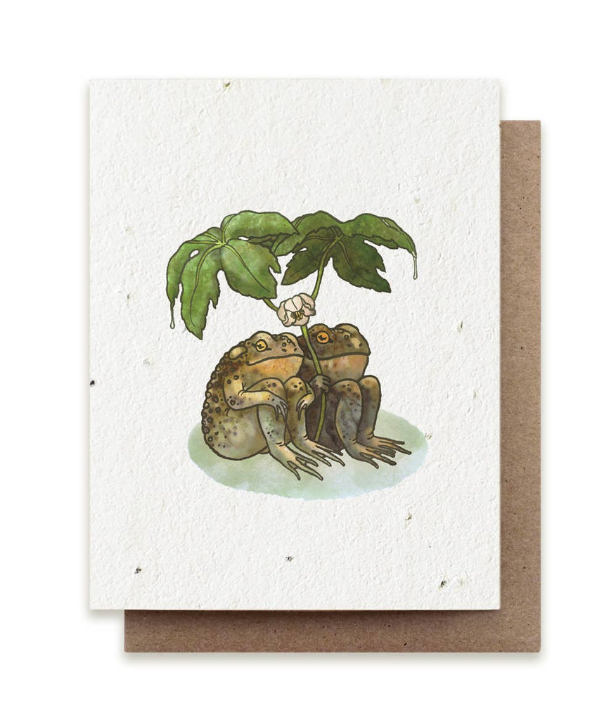 Two Toads Together Plantable Herb Seed Card  Small Victories   