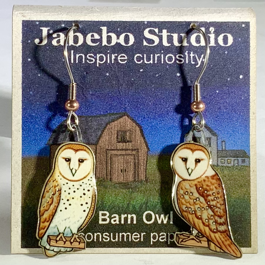 Upcycled Nature Inspired Earrings Dangle Earrings Jabebo Barn Owl  